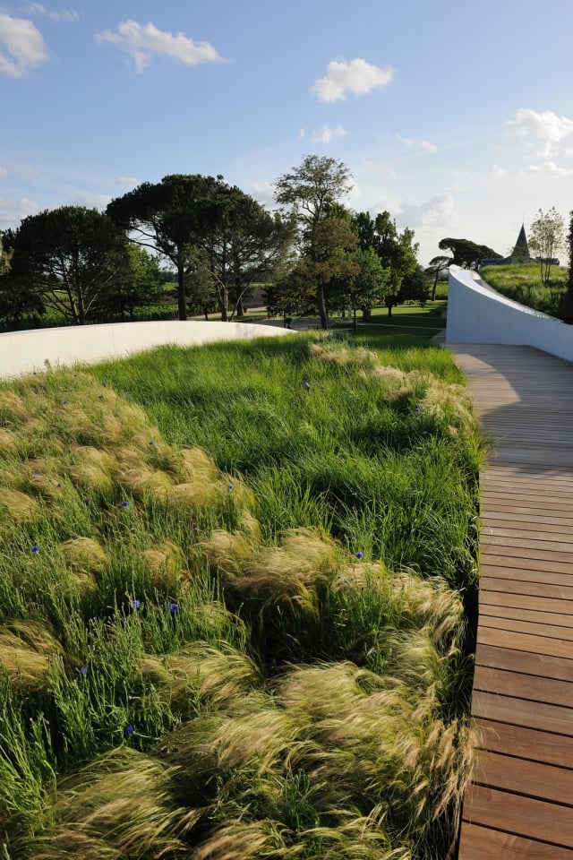 gartenlandschaft bilder gehweg holzdielen naturnah gräser