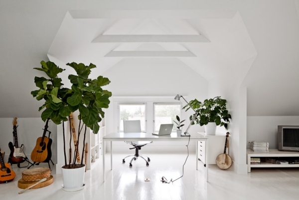weiss home-office design-nach feng-shui lehre einrichten pflanzen
