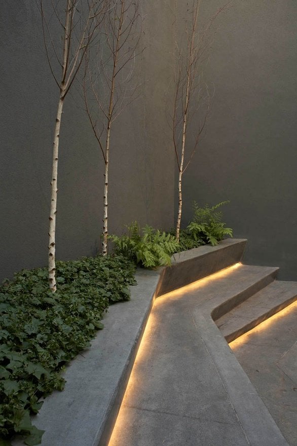 modernes landschaft design beton treppen birken efeu led leisten
