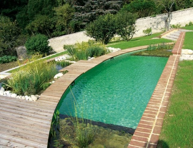 Pool Garten Wasserpflanzen Reinigung natürlicher Art und Weise