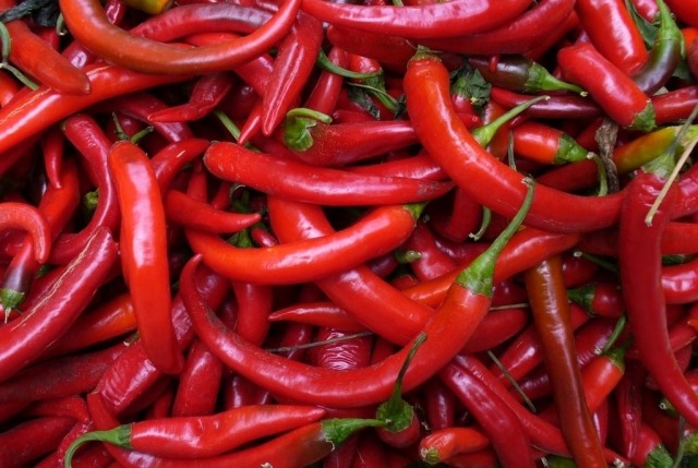 nahrungsmittel gesunde ernahrung chili schoten rot