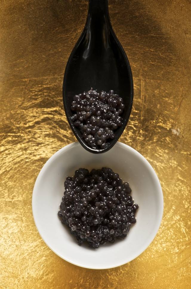 nahrungsmittel gesunde ernahrung kaviar vitamin b12