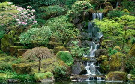 paradiesischer garten mit wasserfall anlegen japanischen stil