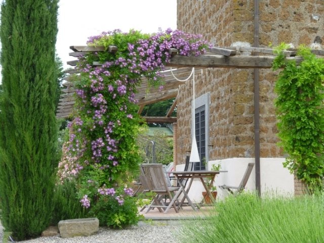 pergola garten begrünen lila clematis holz terrassenmöbel