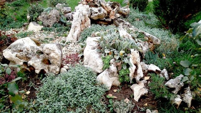 steingarten anlegen bodendecker natur look stil