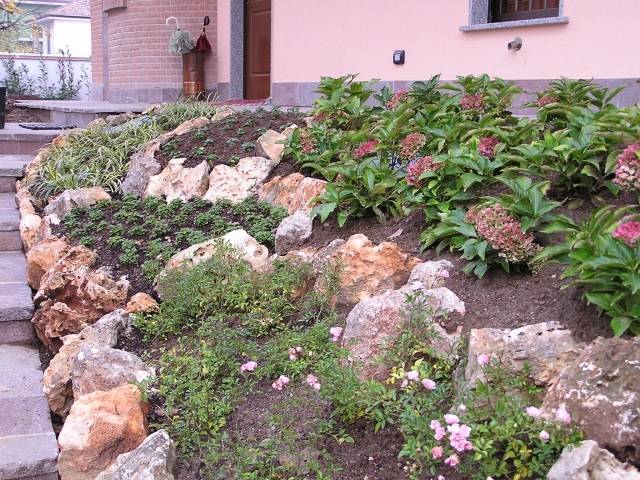 steingarten hang stützmauer bodendecker bepflanzen erde fixieren