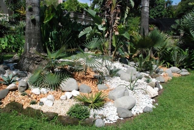 steingarten palmen kies farbe rasen gestaltung