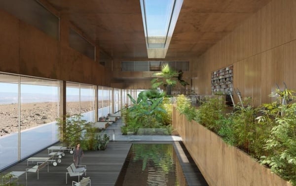 modernes wohnhaus dachfenster indoor garten exotische pflanzenwelt