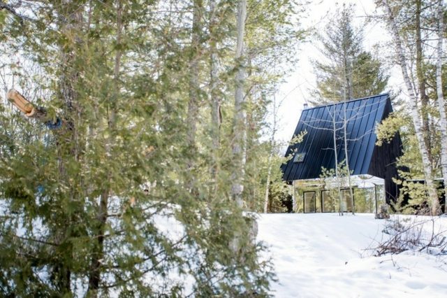 Haus Satteldach Zeder verkleidet Spiegel Wald Landschaft