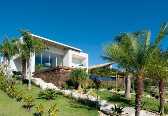 Architektenhaus modern palmengarten gestaltung-exotische Bäume-Sträucher