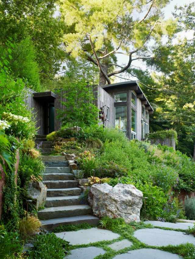 Haus im Wald-bauen Gestaltungsideen Treppen Stein bewachsen mit Pflanzen