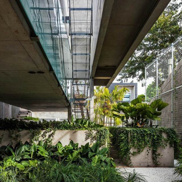 minimalistische Architektur Garten exotische Pflanzen