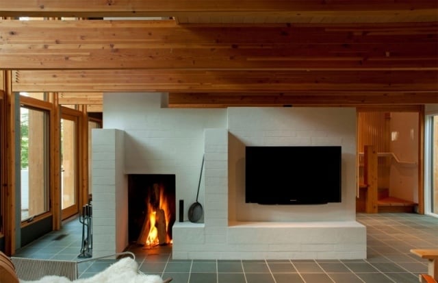 Einbau Kamin aktuelle Einrichtung wohnzimmer trends-Holz Brennstoff
