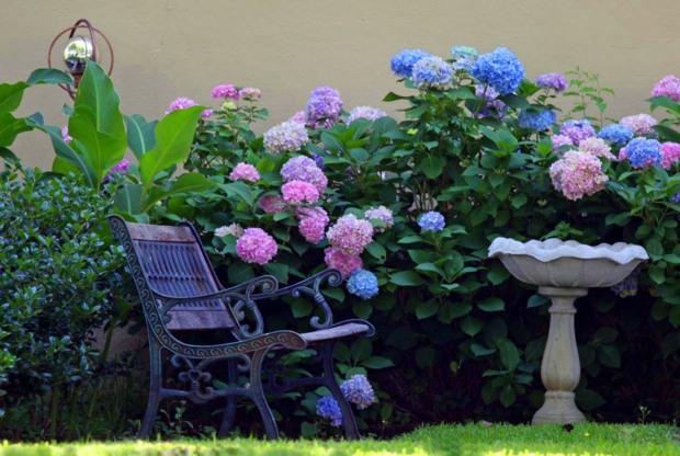 Hortensien blau rosa Farbe gemütliche Sitzecke Tisch