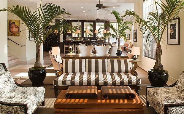 Kolonialsatil Palmen als Zimmerpflanzen schöne Idee