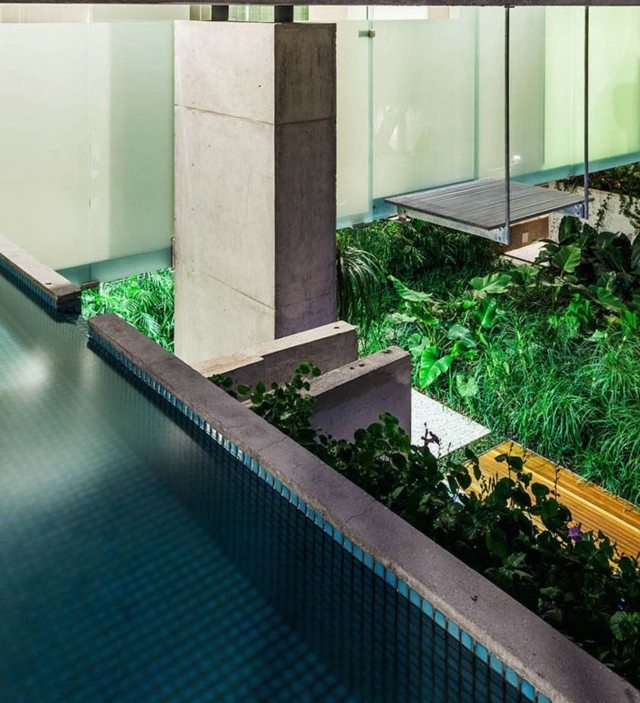 modernes Schwimmbecken aus Beton üppige Pflanzen exotisch