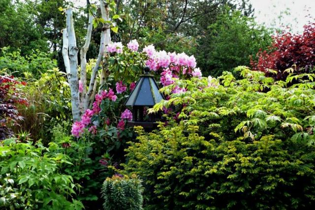 rosa Strauch Vogelhaus Garten Gestaltung Ideen
