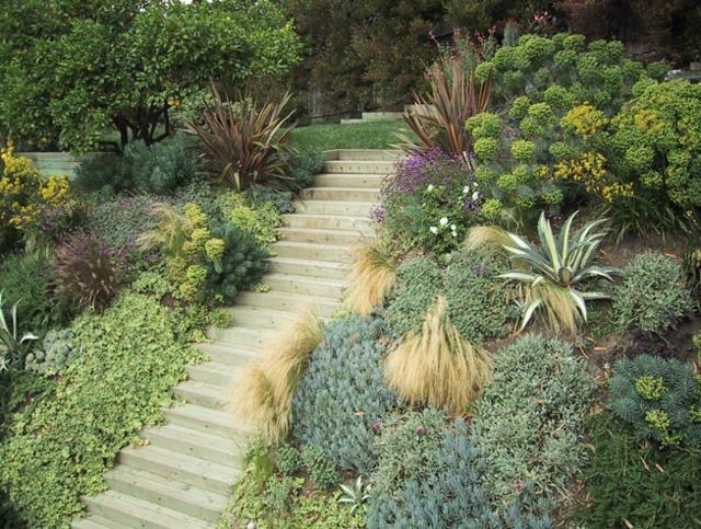 Hanglage Ideen immergrüne niedrige exotische Pflanzen Treppe