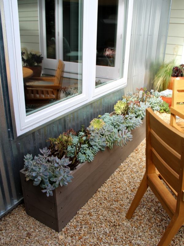 Sukkulenten-outdoor-Beachstyle-Fenster-einpflanzen