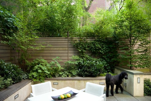 Holzzaun Sitzbank Haustiere Hund im Garten Sichtschutz