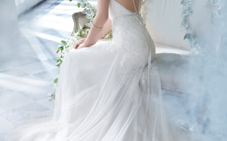 alvina-valenta-brautkleider-2014-design-lang-slim-v-ausschnitt-nacktem-ruecken