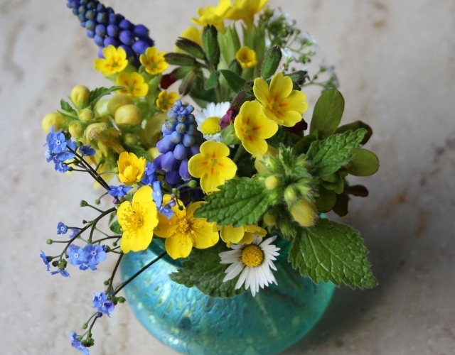 deko-tisch-schnittblumen-vergiss-mich-nicht-traubenhyazinthen