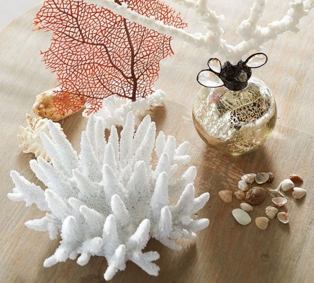 dekorative-accessoires-maritim-flair-korallen