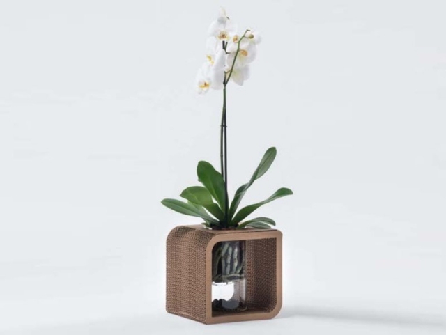 designer vase pappe weiße orchidee Giorgio Caporaso Lessmore
