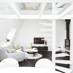 loft-wohnung-modern-design-schwarz-weiß-kontraste-eindrucksvoll-vorleger