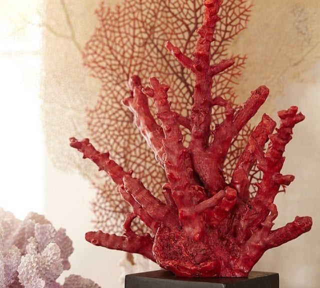 rote-koralle-dekorativ-wohnzimmer-sommer