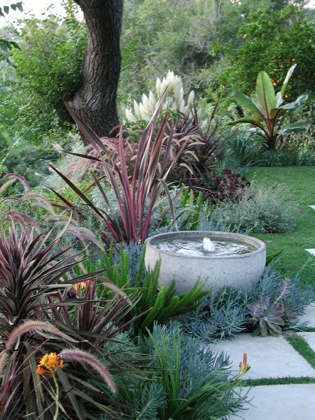 Sukkulenten im Garten tropische Pflanzen bringen einen