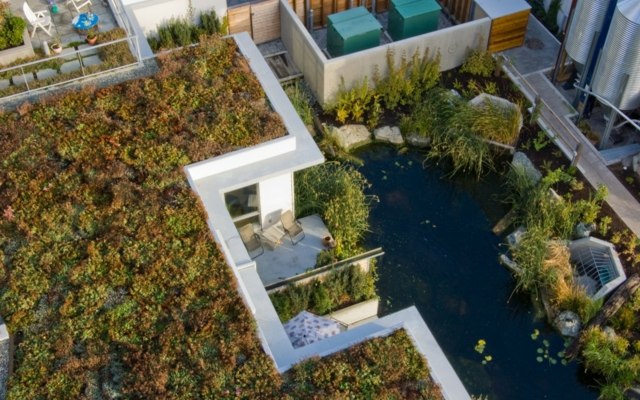 Bepflanztes Dach Wasserpflanzen Gartenteich Terrasse Steine