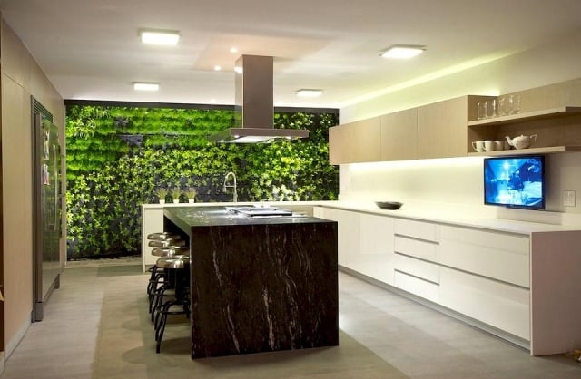 Einbauküche-mit-kochinsel-nachhaltige-grünwand-Hernandez-Silva-Arquitectos