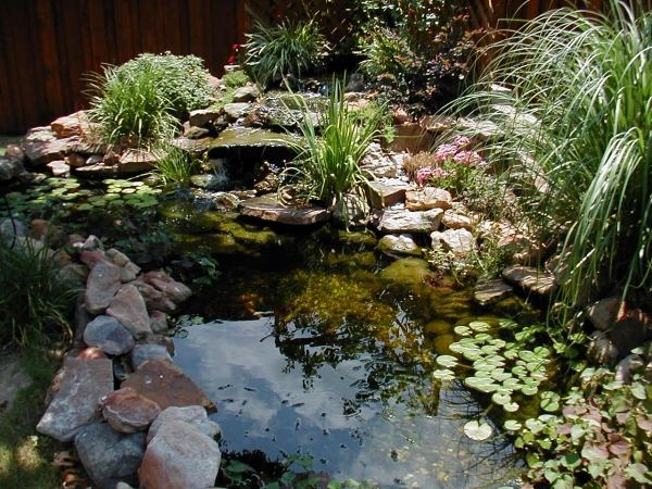 Gartenteich-Tonboden-verhindert-Ablaufen-von-Wasser