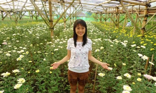 Mädchen-China-Chrysanthemen-Feld-Zucht