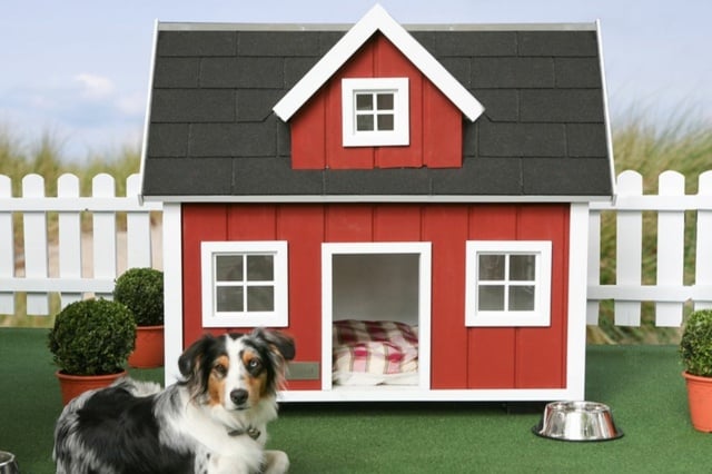 Rotes-Holzhaus-für-Hunde