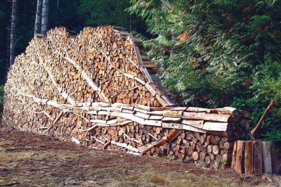 Holzsteg-Garten-Kaminholz-Holz-fällen