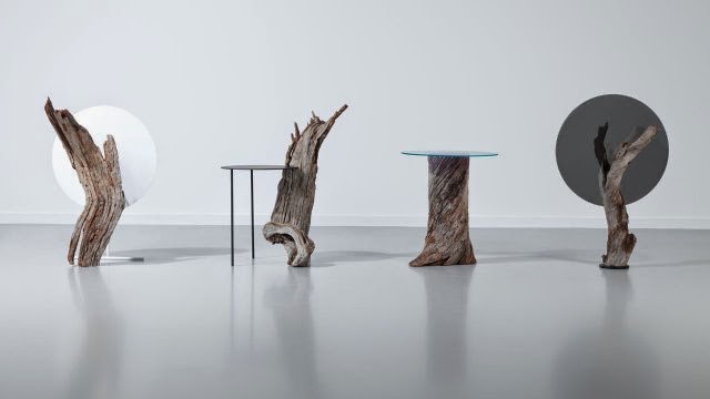 Holzsteg-feuerfestes-Glas-Treibholz-Design-von-Tomás-Alonso