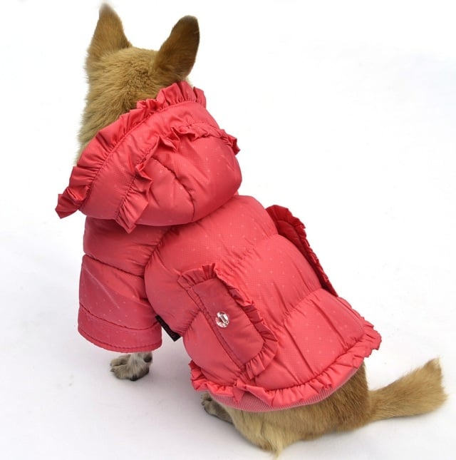 Hundemantel Winter warm halten Chihuahua Taschen rote Farbe
