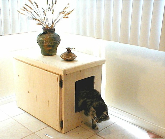 Blumenvase-Holztisch-Katzenklo