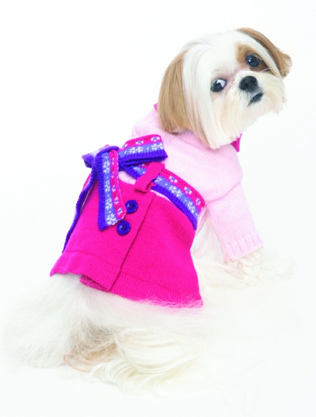 Blaue-Schleife-Rosa-Kleid-Hunde-Bekleidung