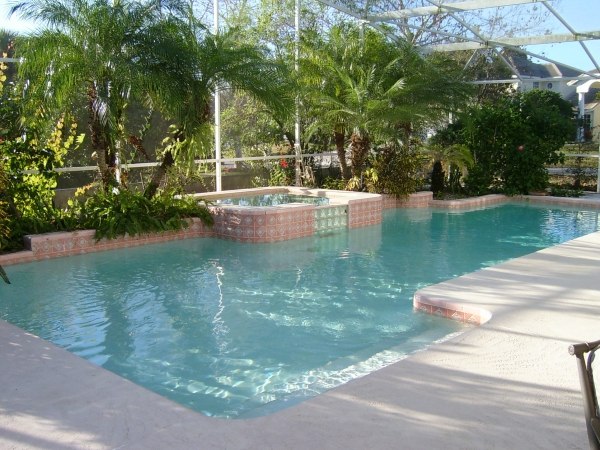 Pool-swimming-geometrisch-ideen-palmen-stein