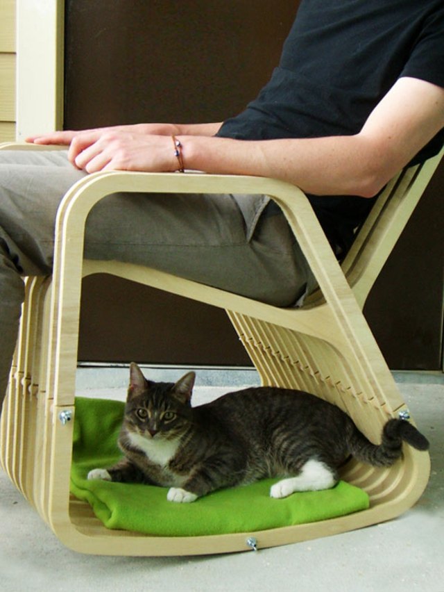 Wiegestuhl-und-Katzenbett-Katze-auf-einer-Decke