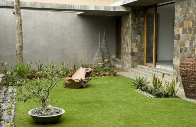 asiatischer Stil kleiner Bonsai Baum Grasfläche