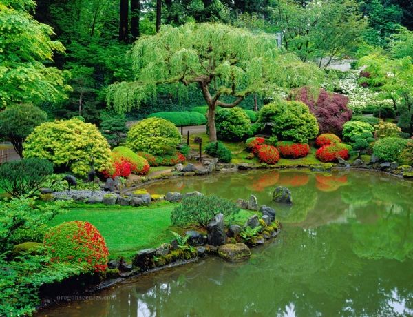 Teich-im-Garten-anlegen-Baumethode-japanisch-inspirierter-stil