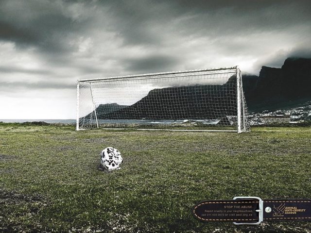 Hund-wie-ein-Fußball-Tierschutz-Kampagne