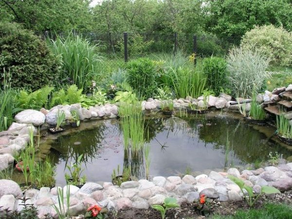 Wasser-Effekte-im-Garten-selbst-Teich-Hinterhof-bauen-tipps
