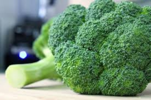 broccoli-schütz-uv-grün-essen-ideen