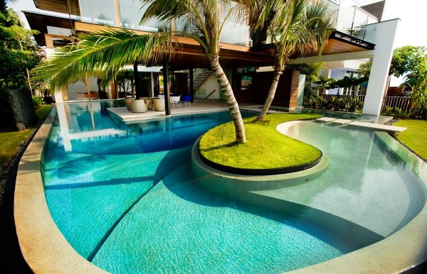 coole-pool-designs-palmen-mitte-klar