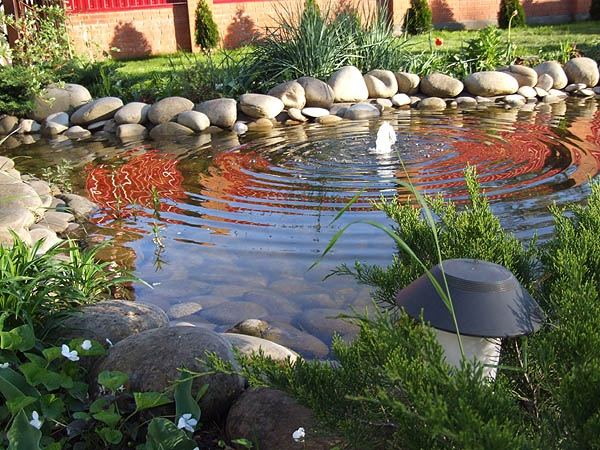 elliptische-Form-Gartensee-gestalten-steine-am-ufer-anordnen